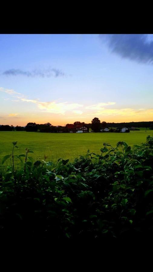 Ferienhof Oberhuber Staudach-Egerndach ภายนอก รูปภาพ